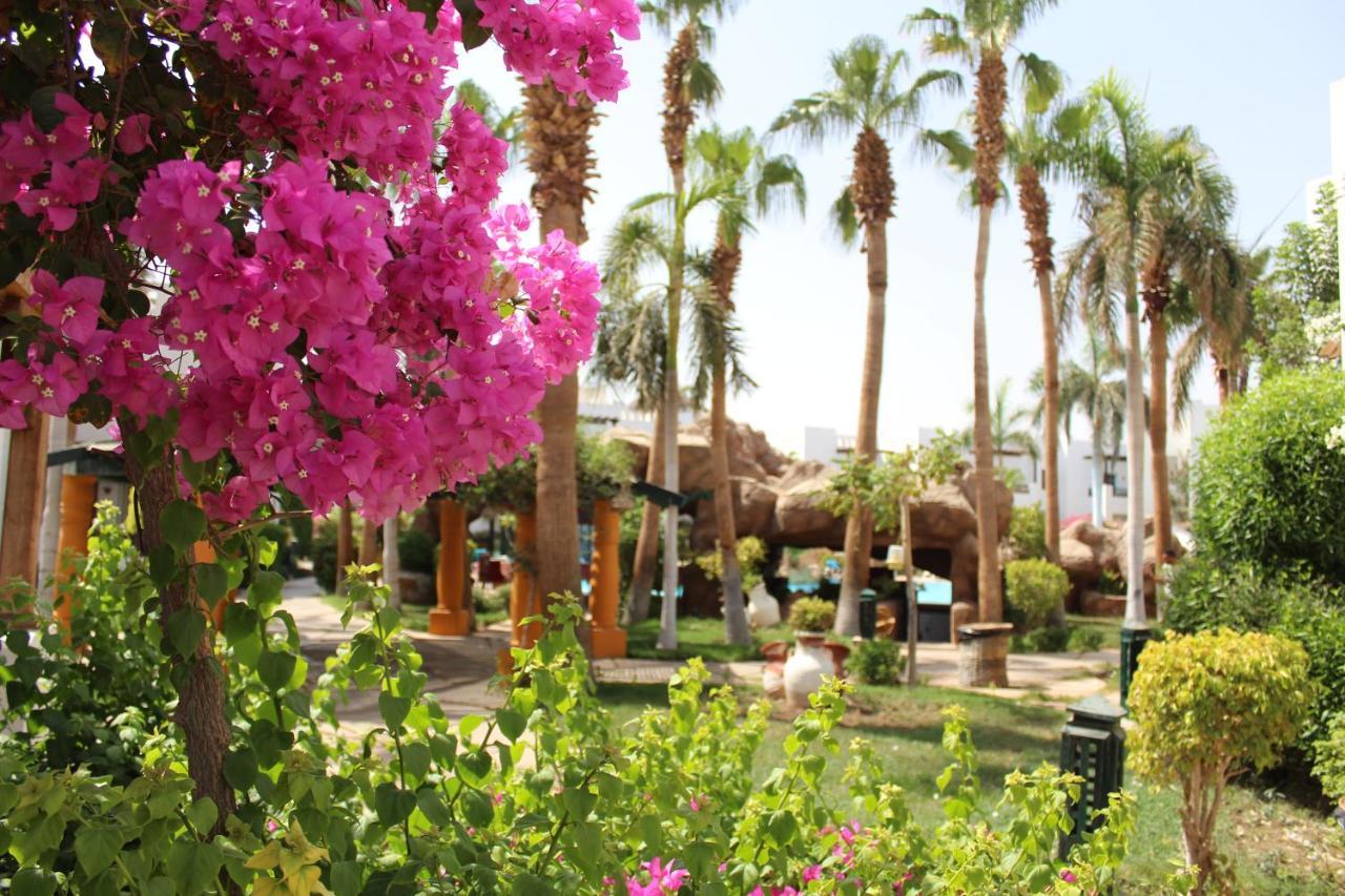 Herrmes Hospitality Sharm El-Sheikh Exterior foto